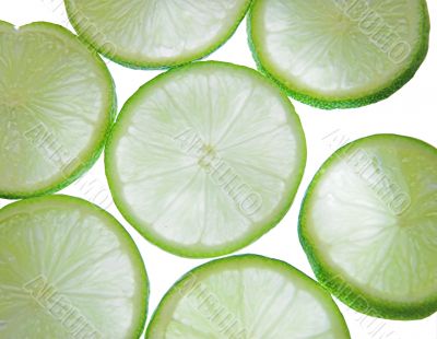 backlit lime slices backlit lime slices