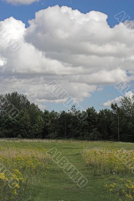 Meadow path Meadow path