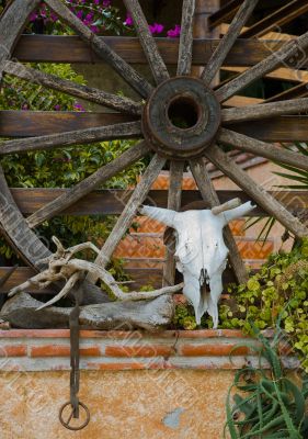 Rural life composition with wheel and skull