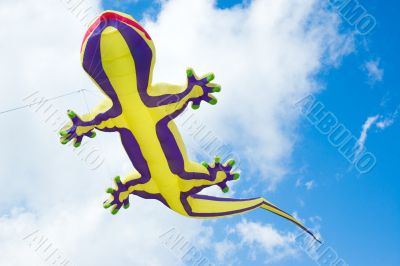 big lizard kite fly in blue summer sky