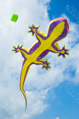 big lizard kite fly in blue summer sky