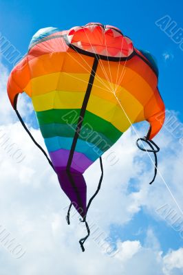 big colorful fish kite fly in blue summer sky
