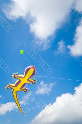big lizard kite fly in blue summer sky