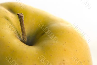 Yellow apple stem macro