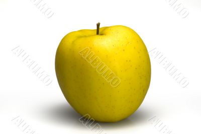 Full isolated mature yellow apple