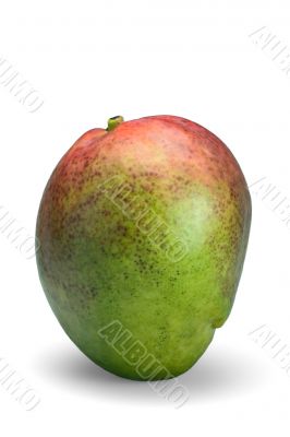 Full mature isolated mango