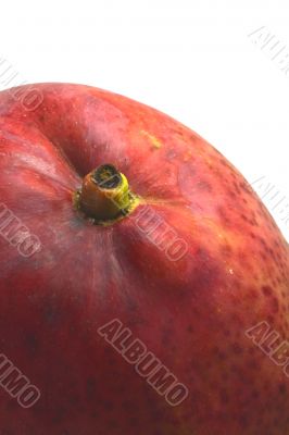 Ripe mango macro