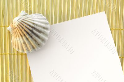 white paper letter with shell and text space