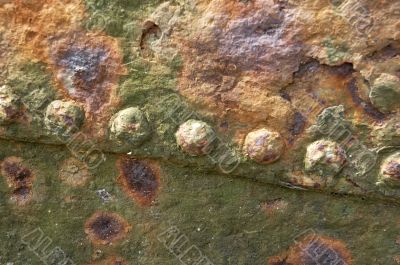 Rusty Matal Background