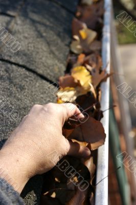 Fall Cleanup - Leaves in Gutter