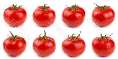 Eight shots of tomato isolated on white rotation