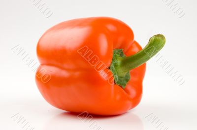Perfect orange bell pepper