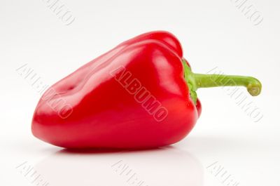 Perfect red bell pepper