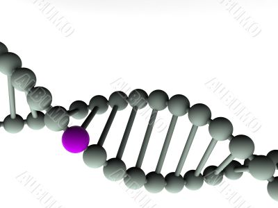 gene in DNA. gene in DNA.