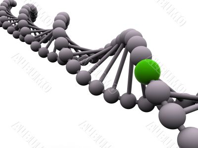 gene in DNA. gene in DNA.