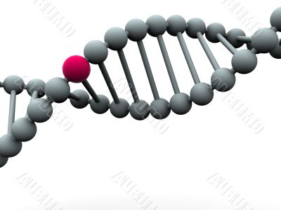 gene in DNA