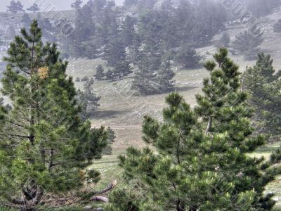 Mountain landscape. Crimea.