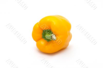 Yellow paprika