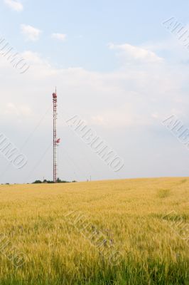 TV tower - far view TV tower - far view