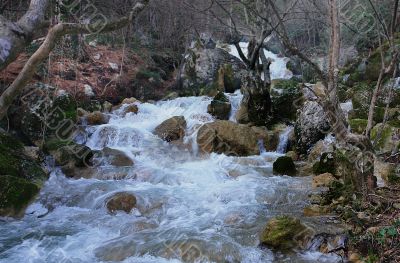 Crimea. Mountain small river