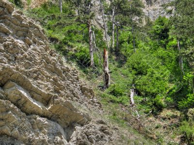 Mountain landscape. Crimea.