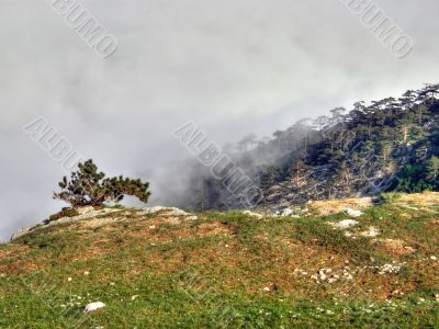 Mountain landscape. Crimea.
