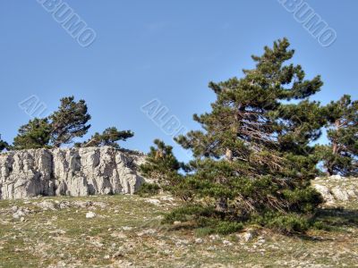 Mountain landscape. Crimea.