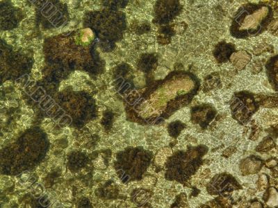 Beautiful sea coast. The western Crimea.