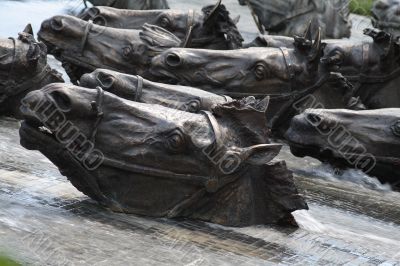 the swimming horses 1