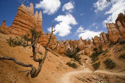 Bryce Canyon National Park