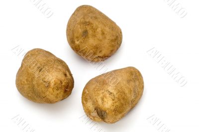 potato