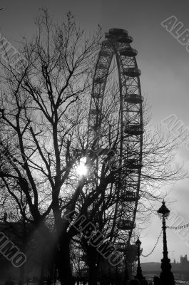 London eye
