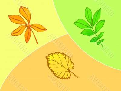 Three leaves, autumn,season