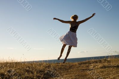 fly away fly away
