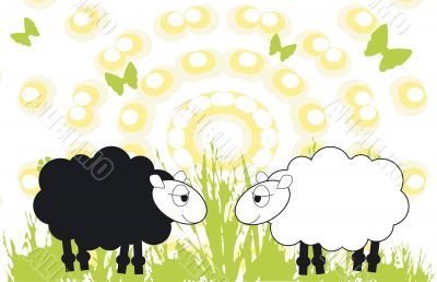 Farm animal series