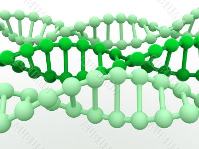 gene in DNA. gene in DNA.