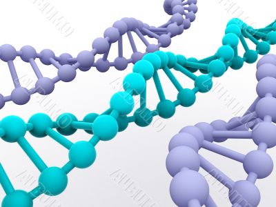 gene in DNA.