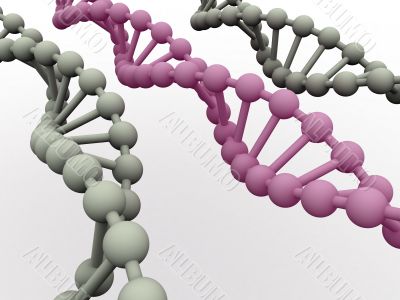 gene in DNA. gene in DNA.