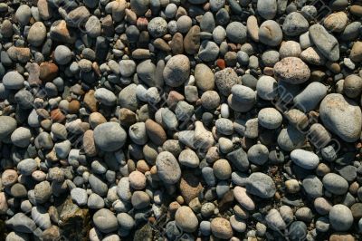 Granite pebbles, rounded by the ocean