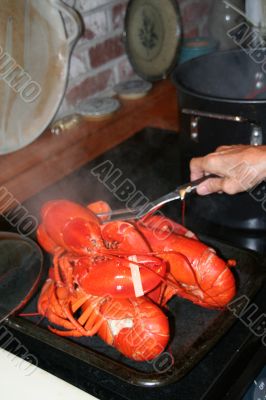 Lobsters fresh from the pot