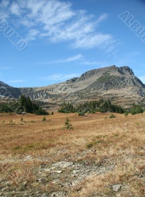Logan pass,Bearhat Mountain