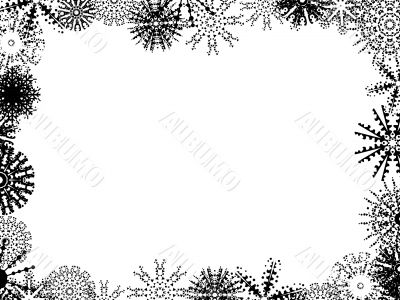 Winter Background
