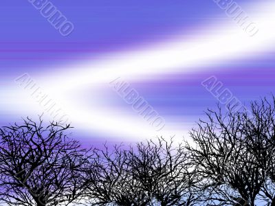 Winter Background