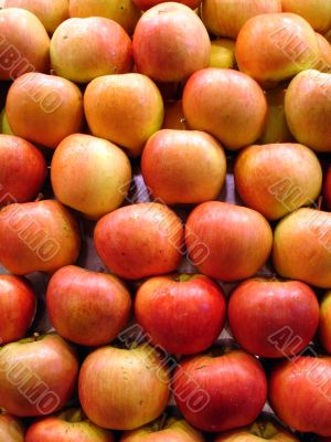 Apple background