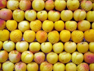 Apple background