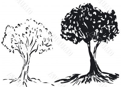 Tree silhouette