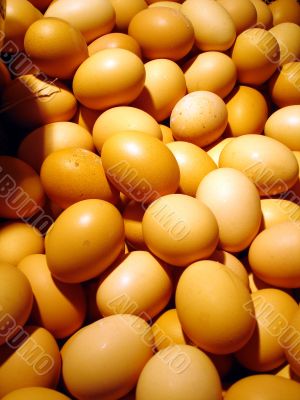Egg background