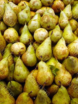 Pear background
