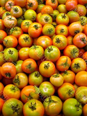 Tomato background