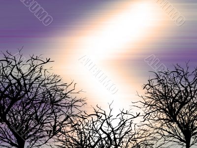 Winter Background